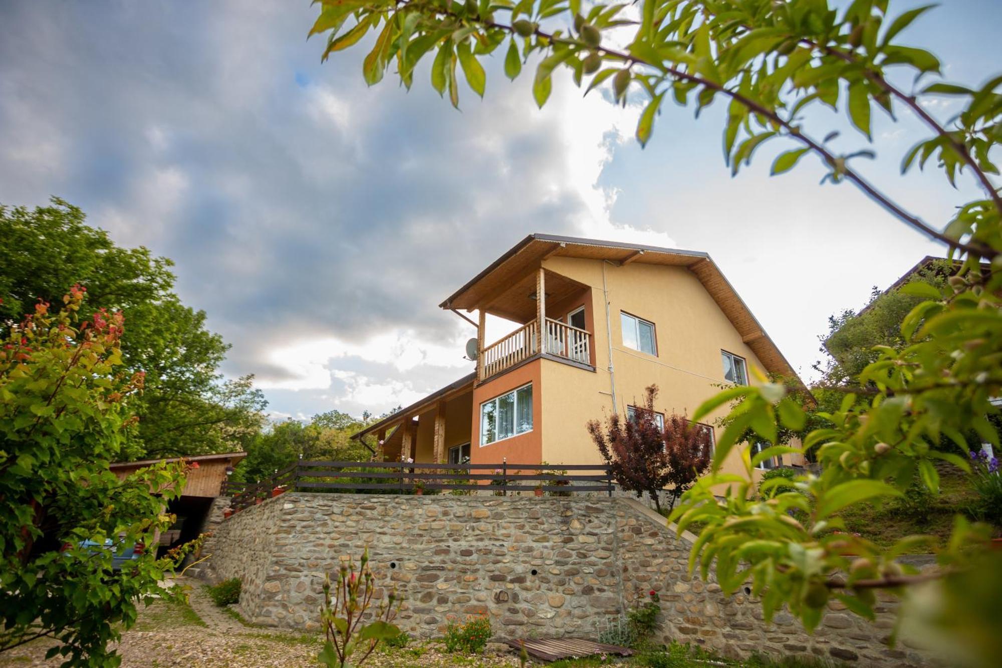 Casa Rumelia Paltineni Exterior photo