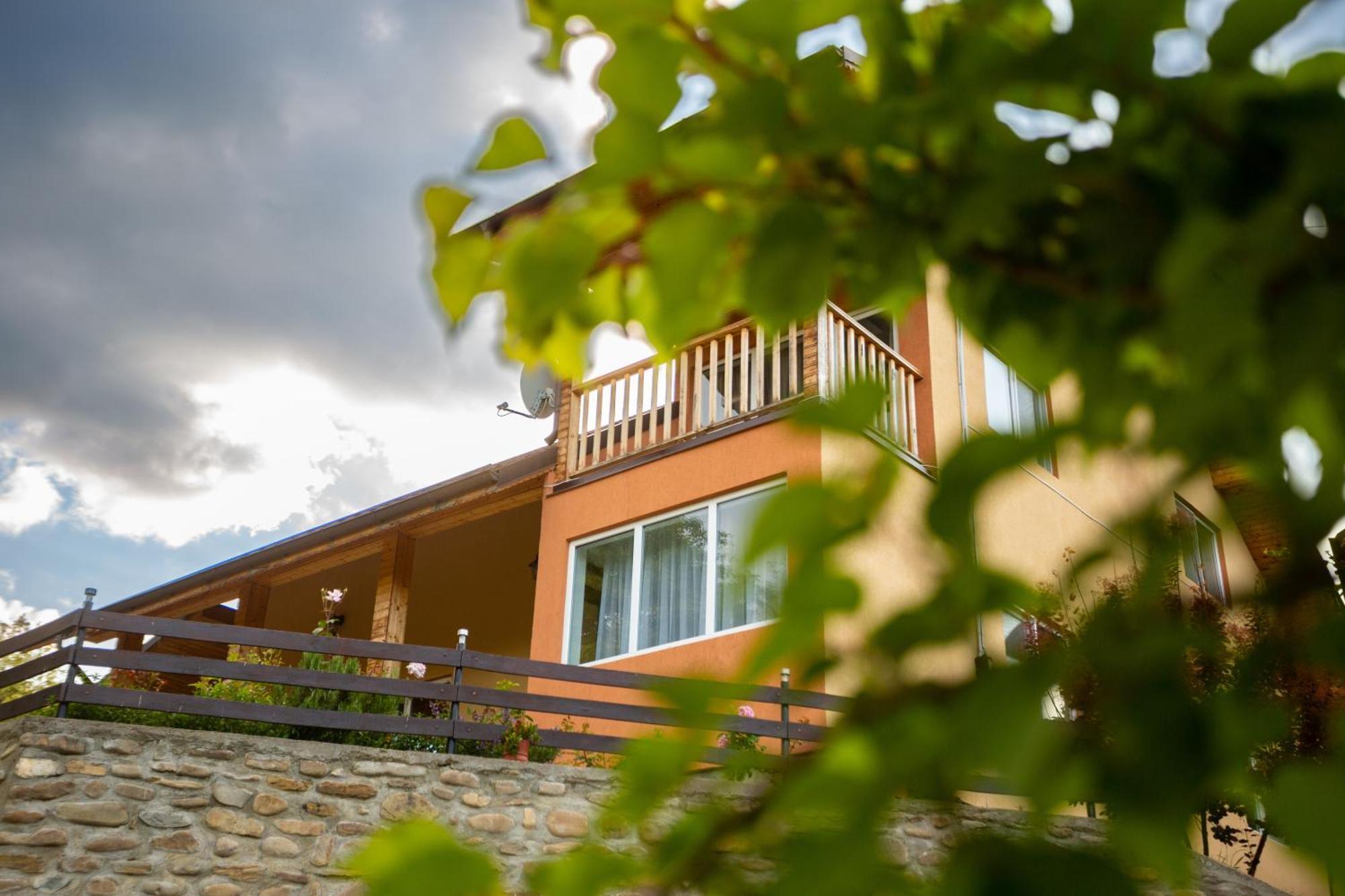 Casa Rumelia Paltineni Exterior photo