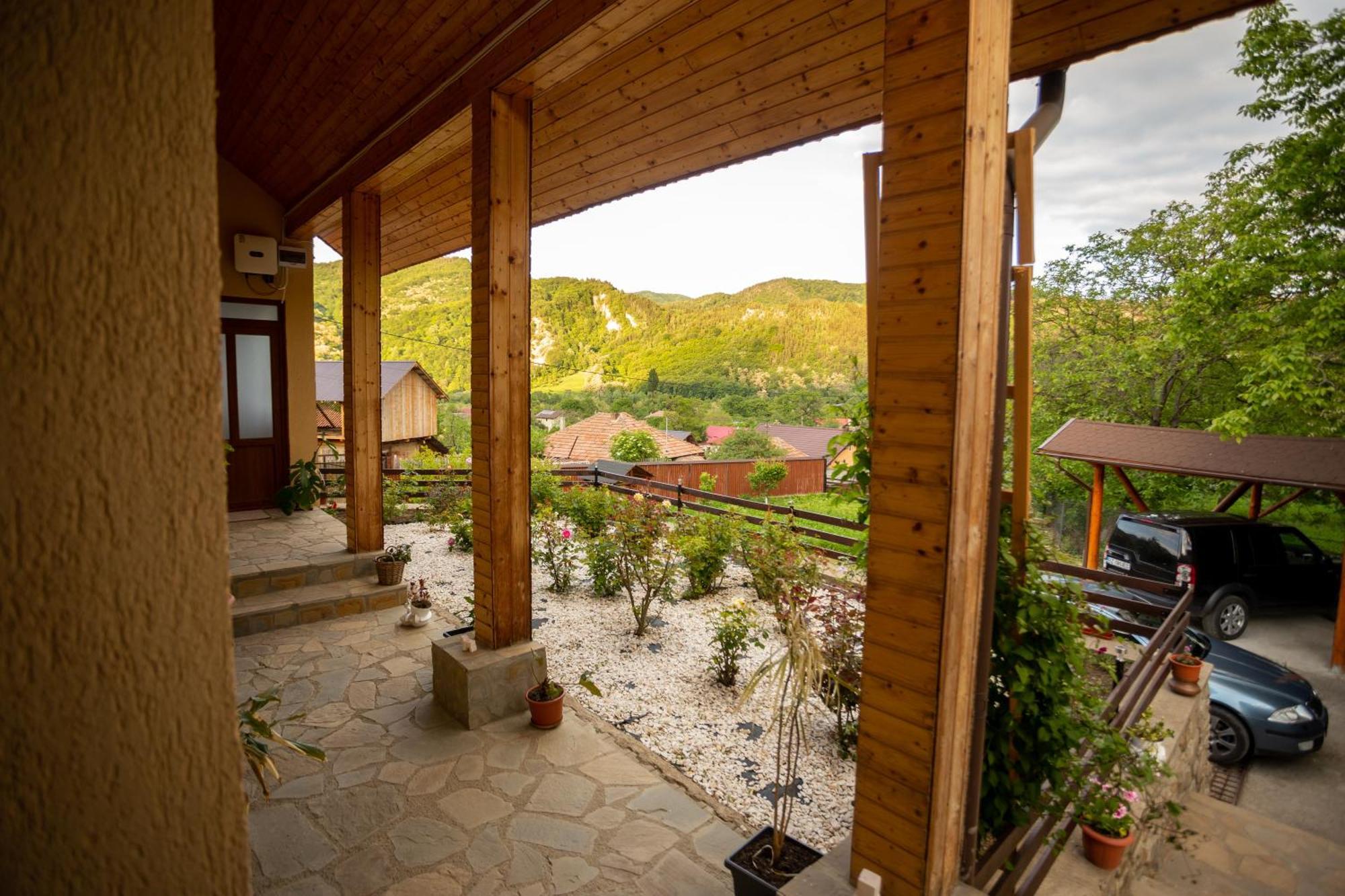 Casa Rumelia Paltineni Exterior photo