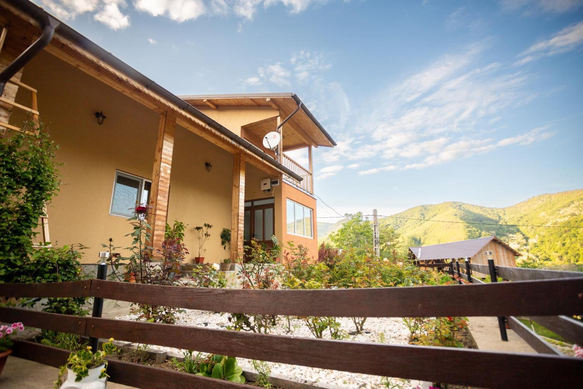 Casa Rumelia Paltineni Exterior photo