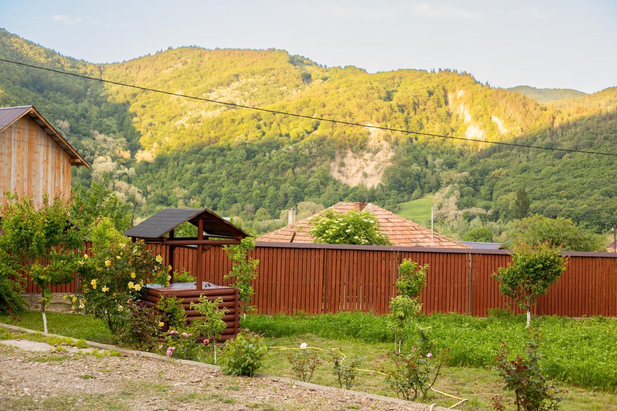 Casa Rumelia Paltineni Exterior photo