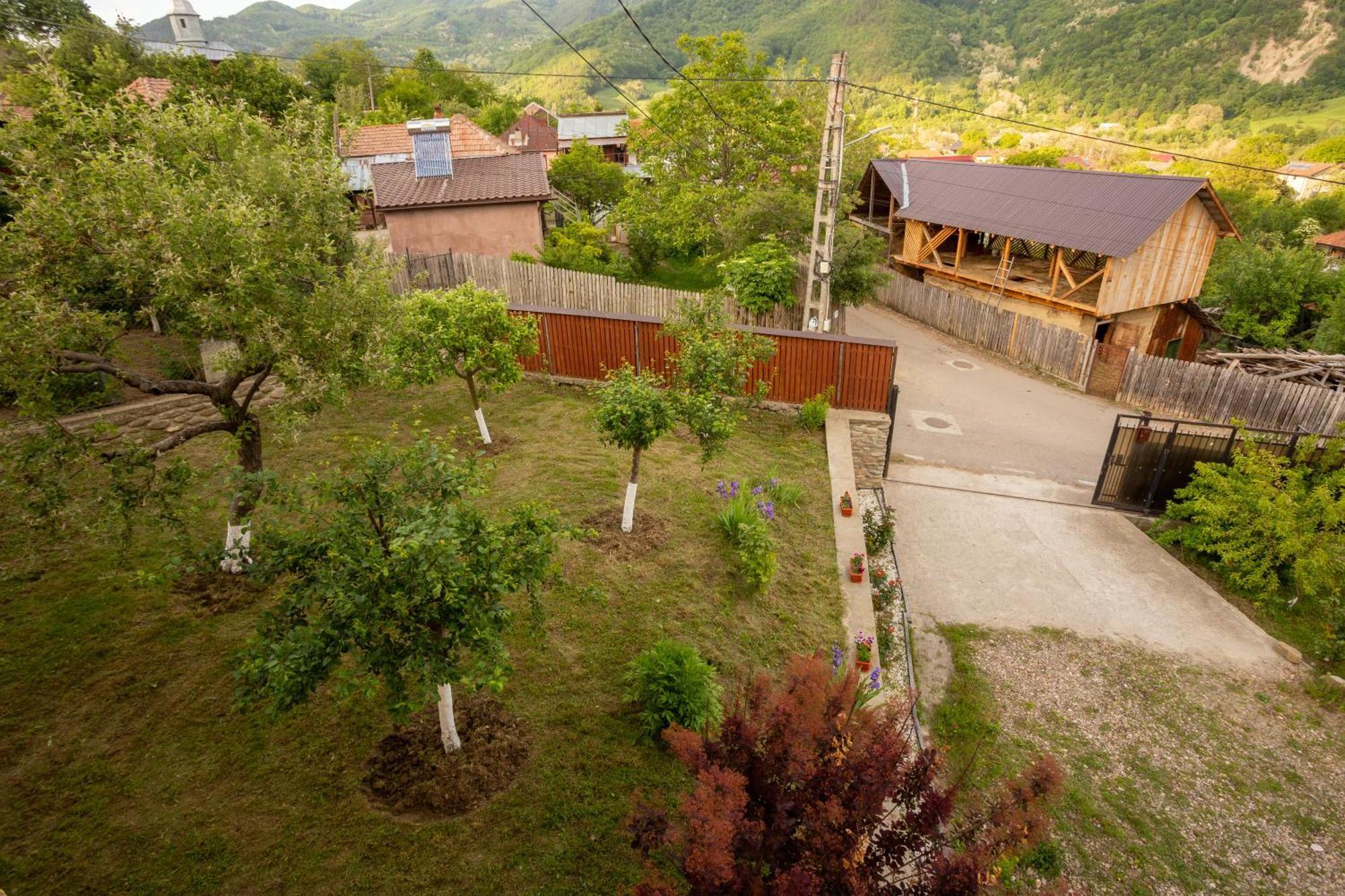 Casa Rumelia Paltineni Exterior photo
